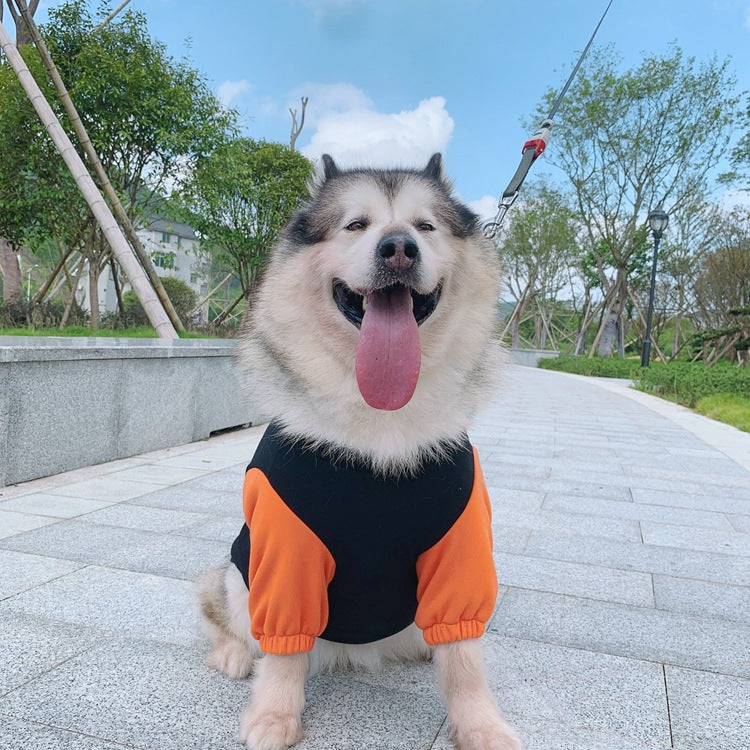 Dress Your Pet in Style with Our Parent-Child Sweater